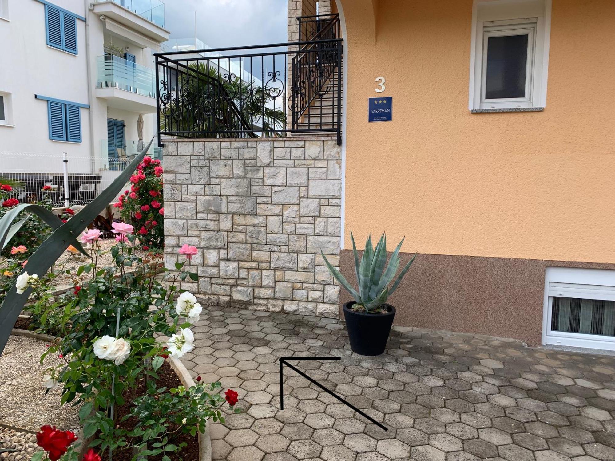 Apartments Kivi Новиград Экстерьер фото